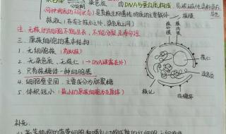 生物选修2-1知识点总结